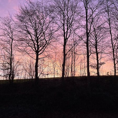 La Canopee Des Arbres, Anna Ellezelles エクステリア 写真
