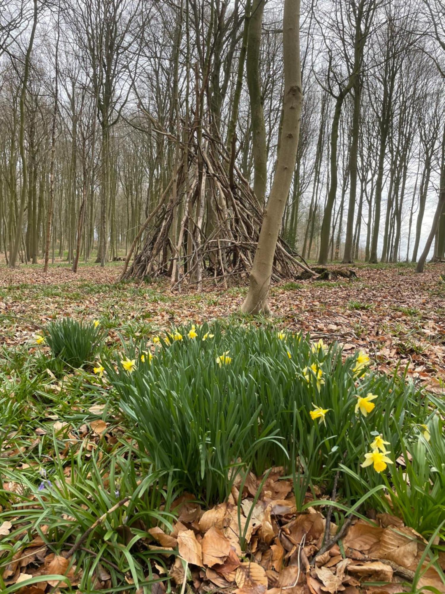 La Canopee Des Arbres, Anna Ellezelles エクステリア 写真